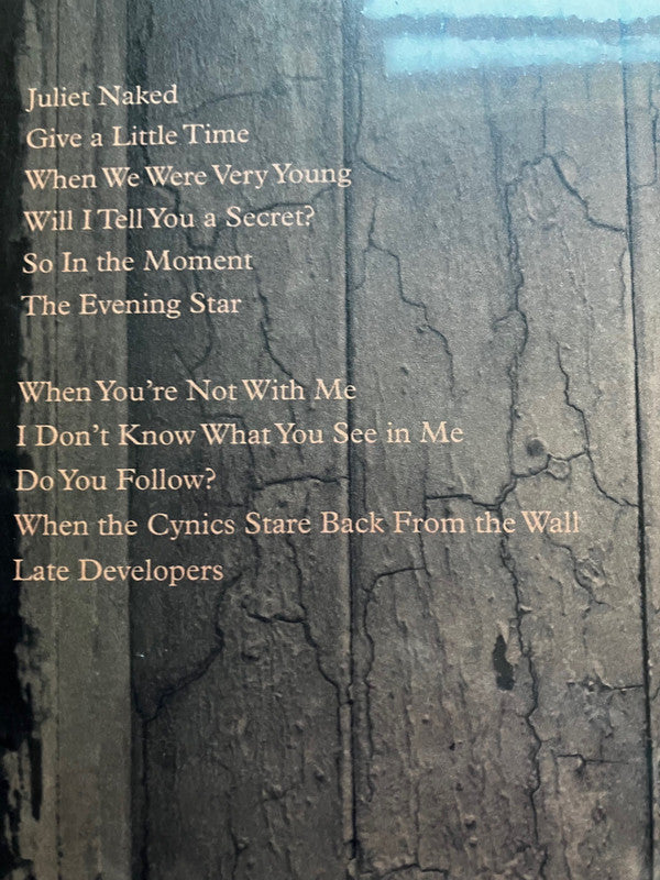 Late Developers | Mint (M) Mint (M) - ALT/INDIE *NEW*