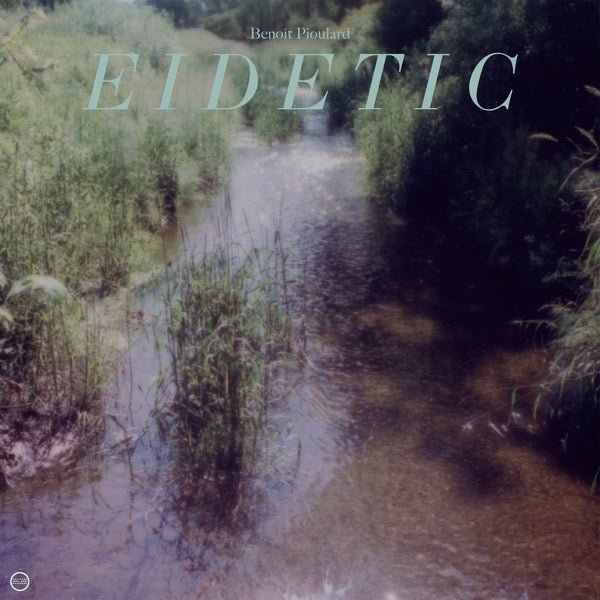 Eidetic |