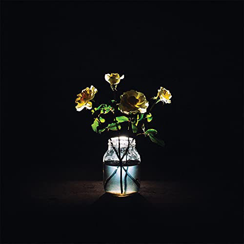 Renewal (180 Gram Vinyl) (2 Lp's) | Mint (M) Mint (M) - FOLK *SEALED*