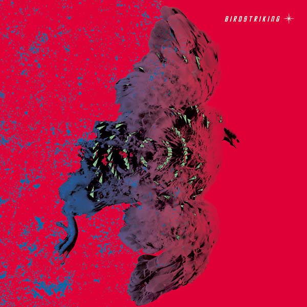 Birdstriking |