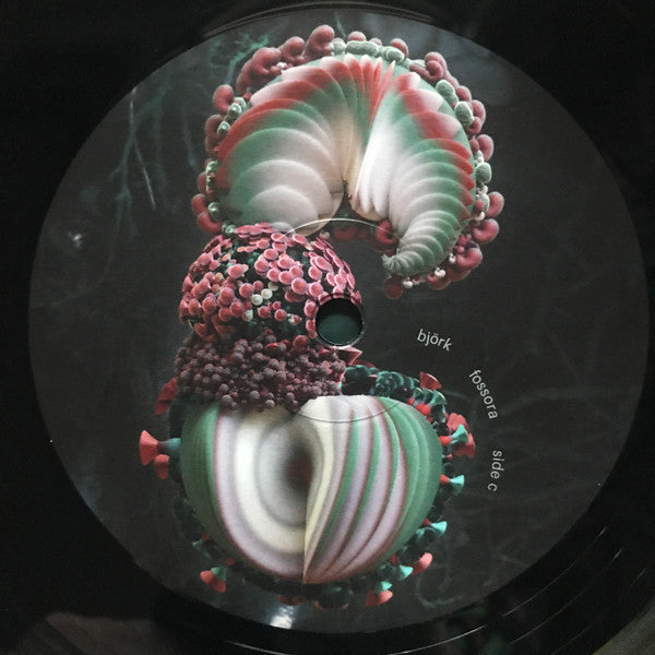 Fossora | Mint (M) Mint (M) - EXPERIMENTAL