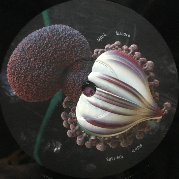 Fossora | Mint (M) Mint (M) - EXPERIMENTAL
