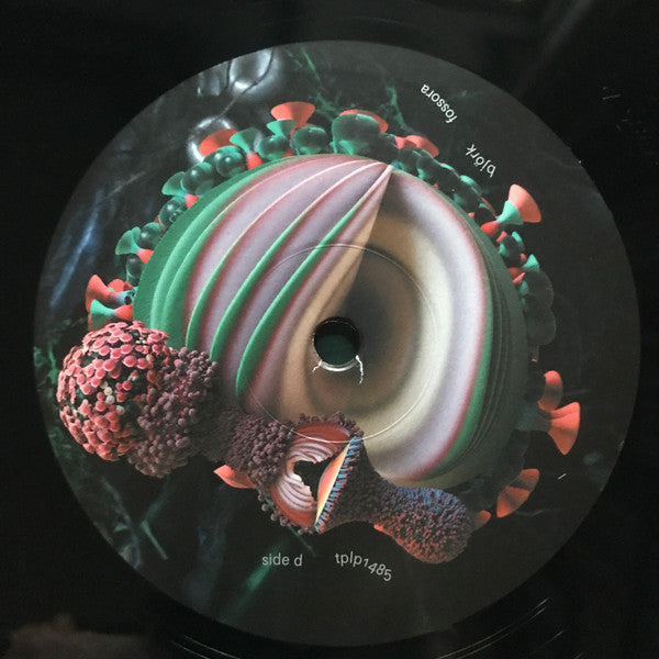 Fossora | Mint (M) Mint (M) - EXPERIMENTAL