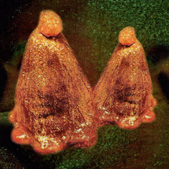 Black To Comm Oocyte Oil & Stolen Androgens Thrill Jockey LP, Album, Ltd, Tra Mint (M) Mint (M)