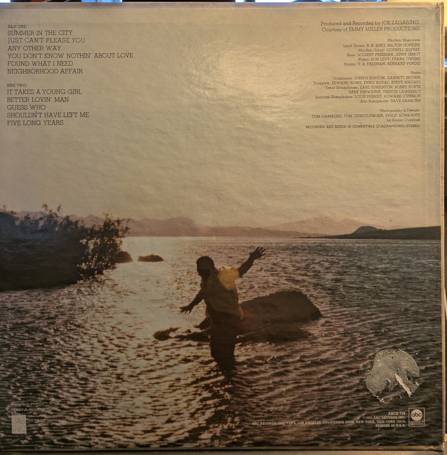 Guess Who (VINYL) | Excellent (EX) Near Mint (NM) - BLUES / USED *EXCELLENT*