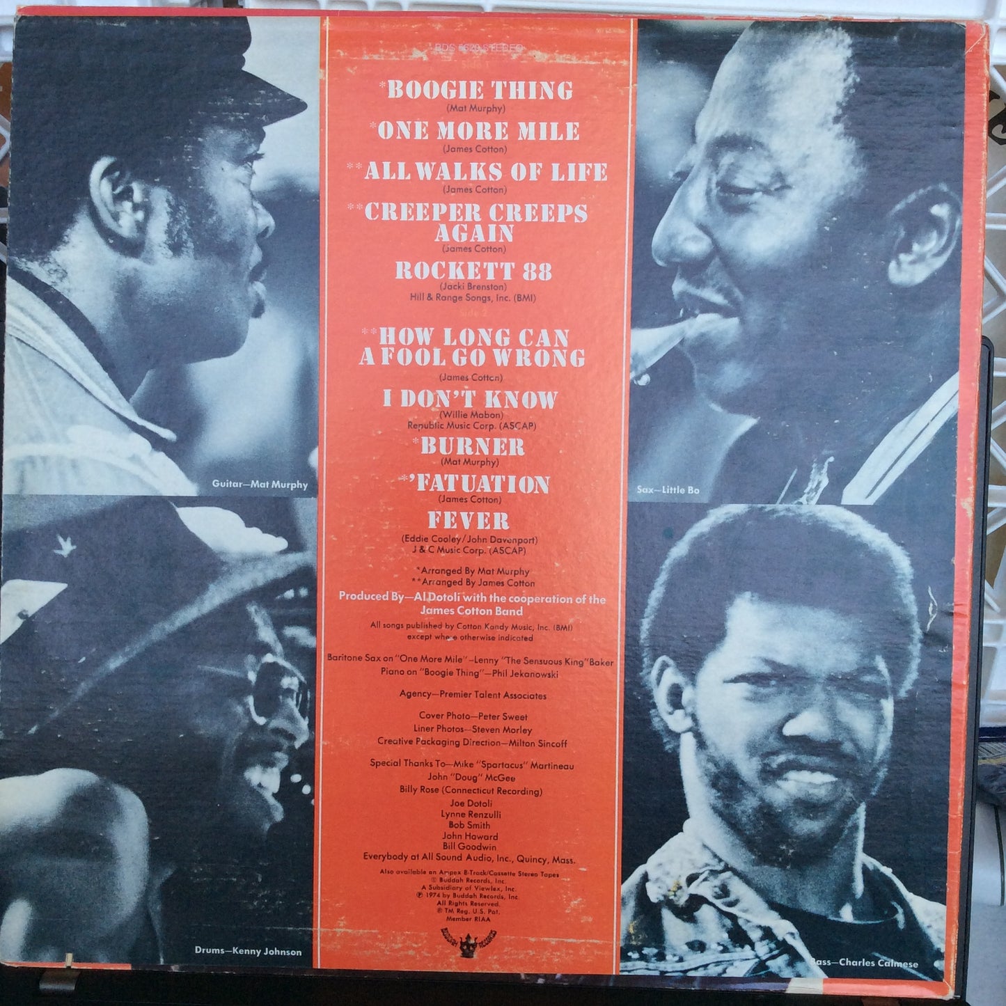 100% Cotton (VINYL) | Near Mint- (NM-) Very Good Plus (VG+) - BLUES / USED *NEAR MINT-*