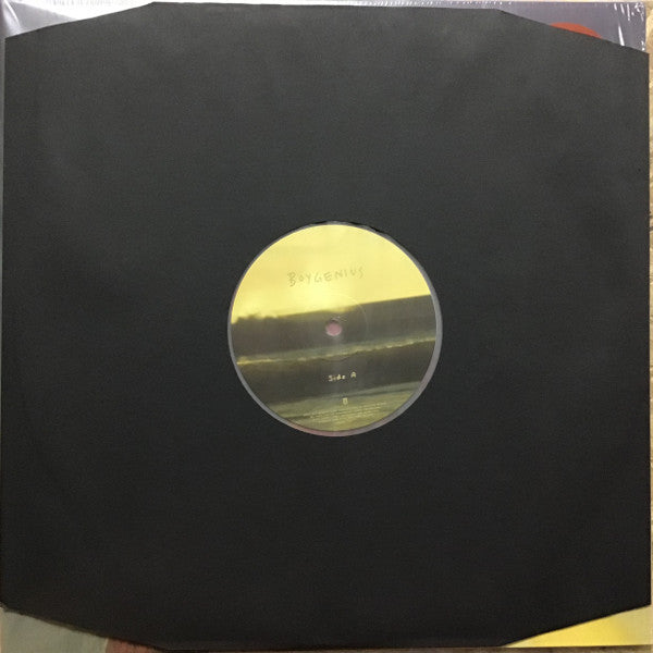 The Record | Mint (M) Mint (M) - FOLK *SEALED/COLOR*