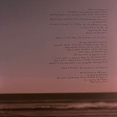 boygenius The Record Interscope Records, Interscope Records LP, Album, Ltd, Cle Mint (M) Mint (M)