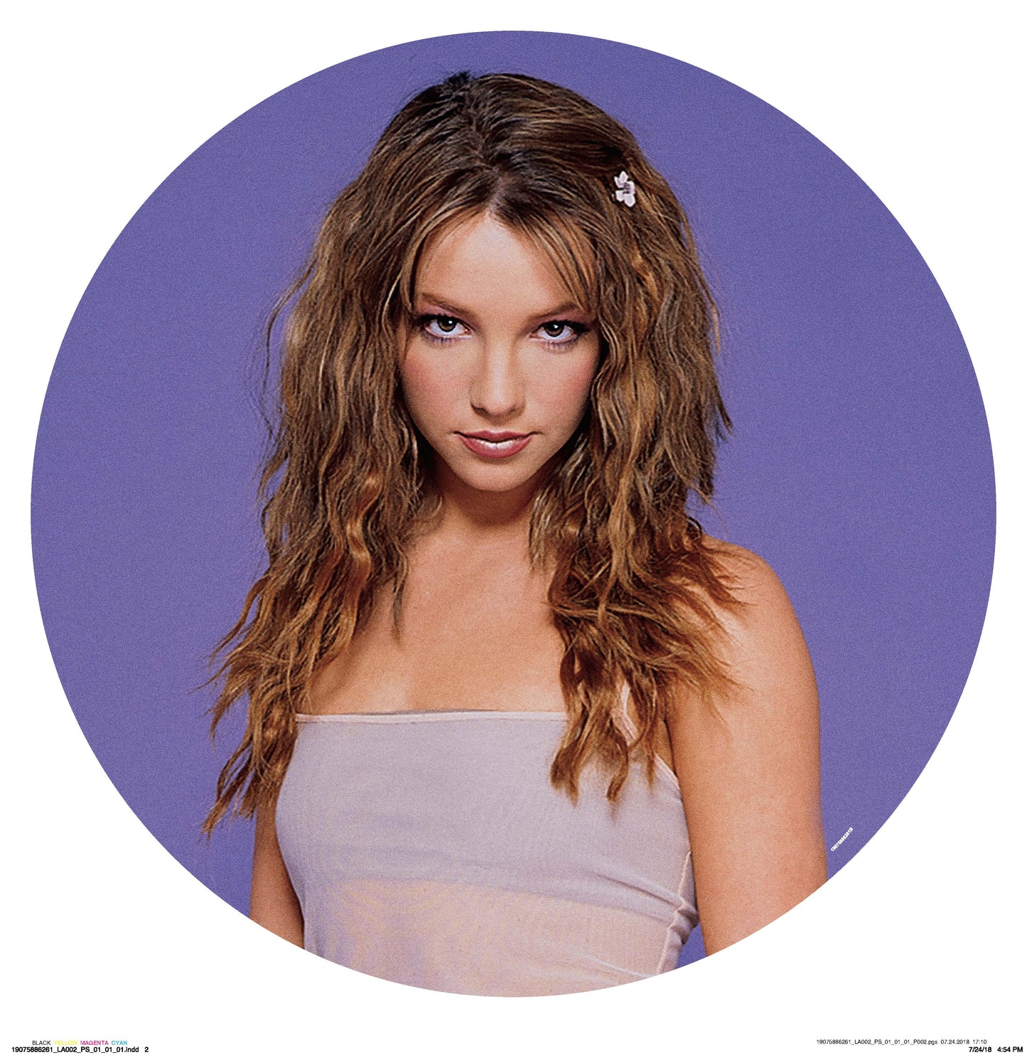Baby One More Time (Picture Disc) | Mint (M) Mint (M)
