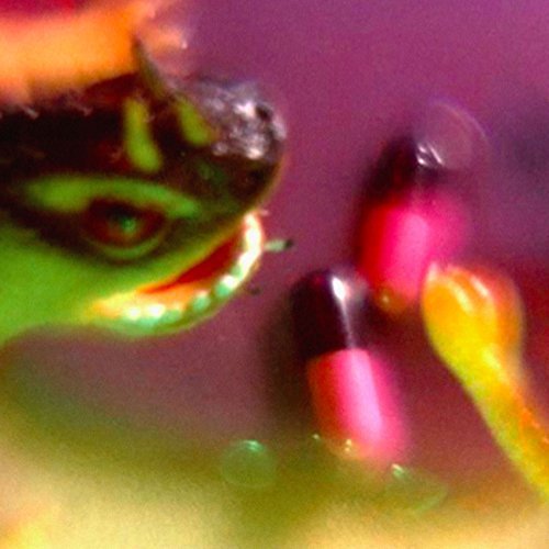 Bush Tetras - Take The Fall |