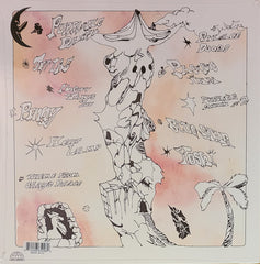 Chayse Porter Chay's Palace Earth Libraries LP, Album Mint (M) Mint (M)