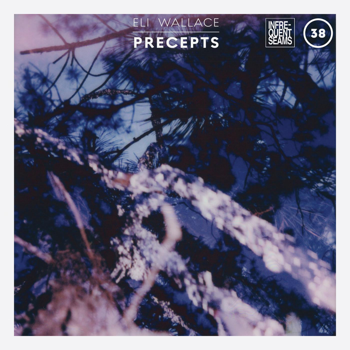 Wallace, Eli - Precepts (CD) | - CLASSICAL *NEW*