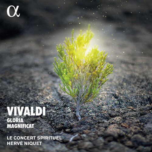 Le Concert Spirituel Niquet - Gloria & Magnificat (CD) | NEW - CLASSICAL *NEW*