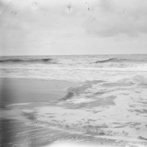 (PRE ORDER 4/24/26) Brisk (VINYL) | Mint (M) Mint (M) - CLASSICAL *NEW*