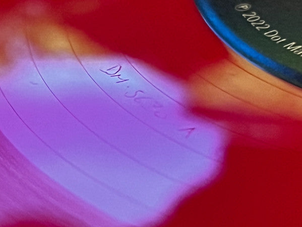 The Ghost Of Fashion | Mint (M) Near Mint (NM) - ALT/INDIE *SEALED/COLOR*