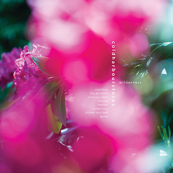 Wilderness |