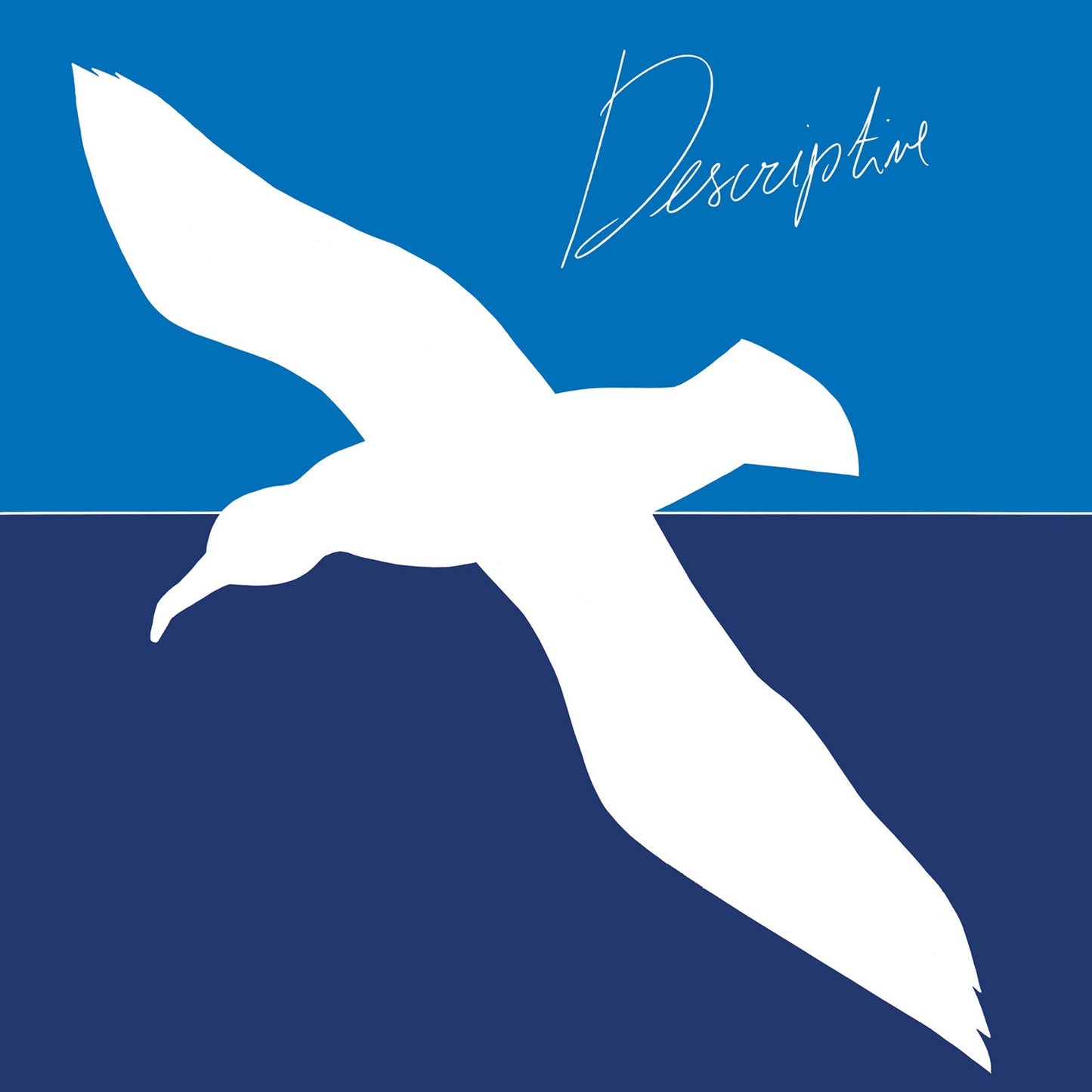 Descriptive (Rsd 2024 Eu/Uk Exclusive) |