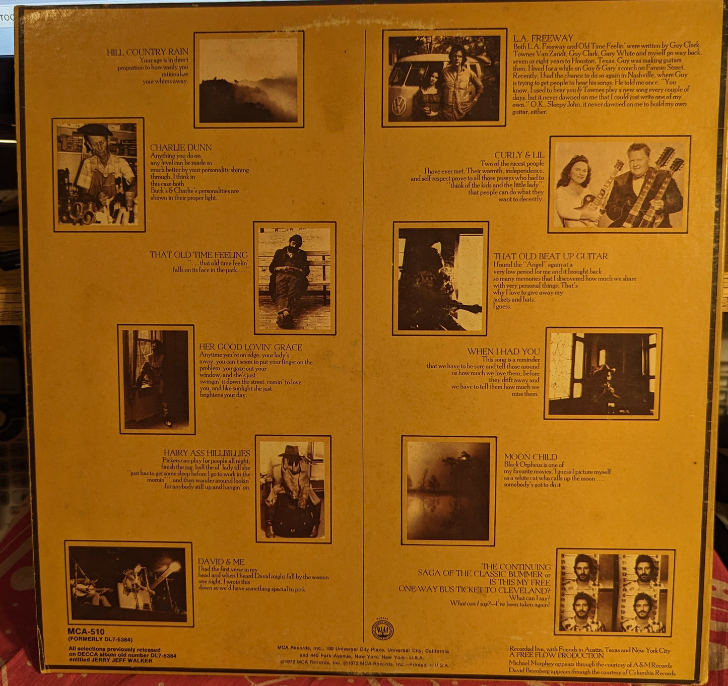 Jerry Jeff Walker *GLOVERSVILLE* | Excellent (EX) Very Good Plus (VG+)