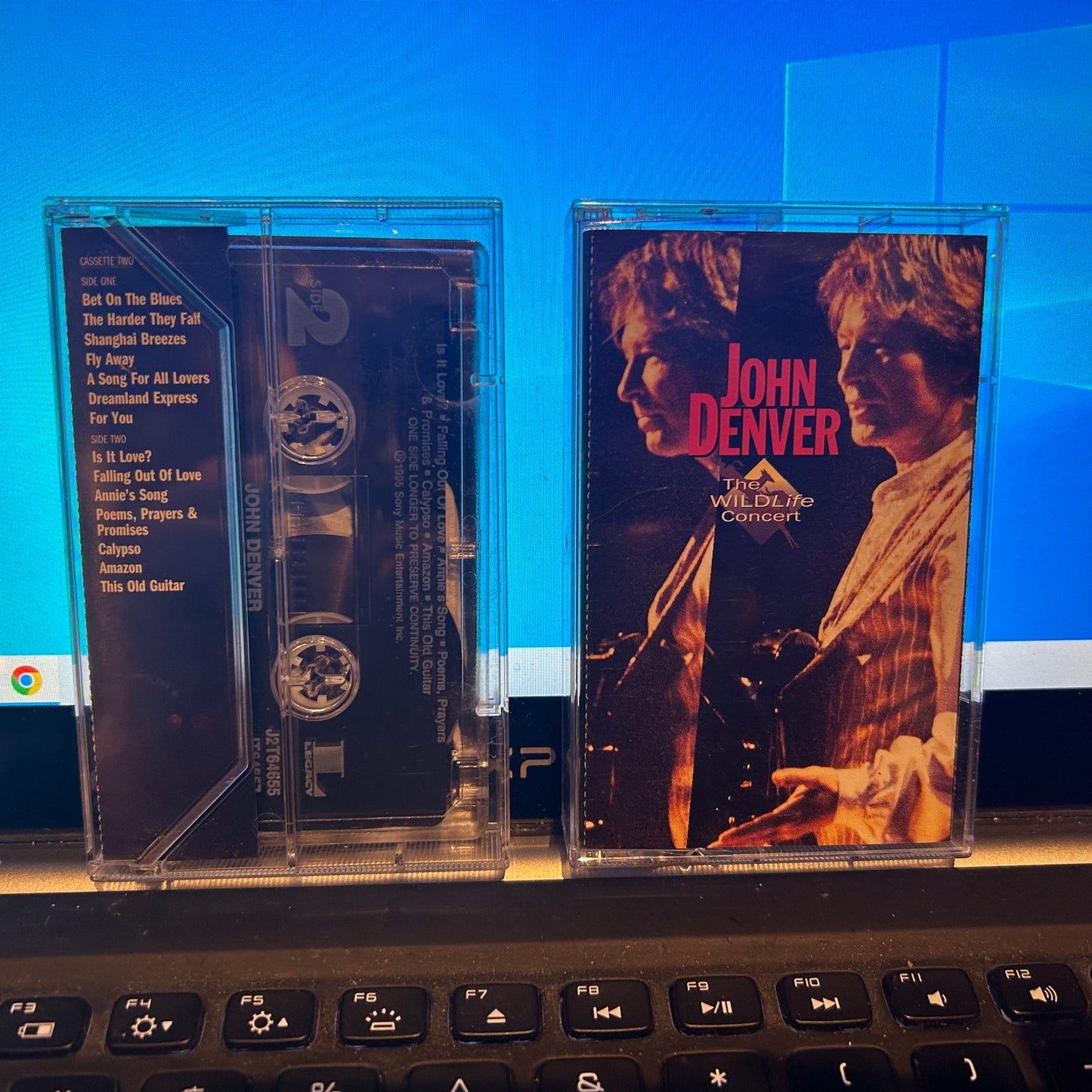 The Wildlife Concert | Near Mint (NM) Near Mint (NM)