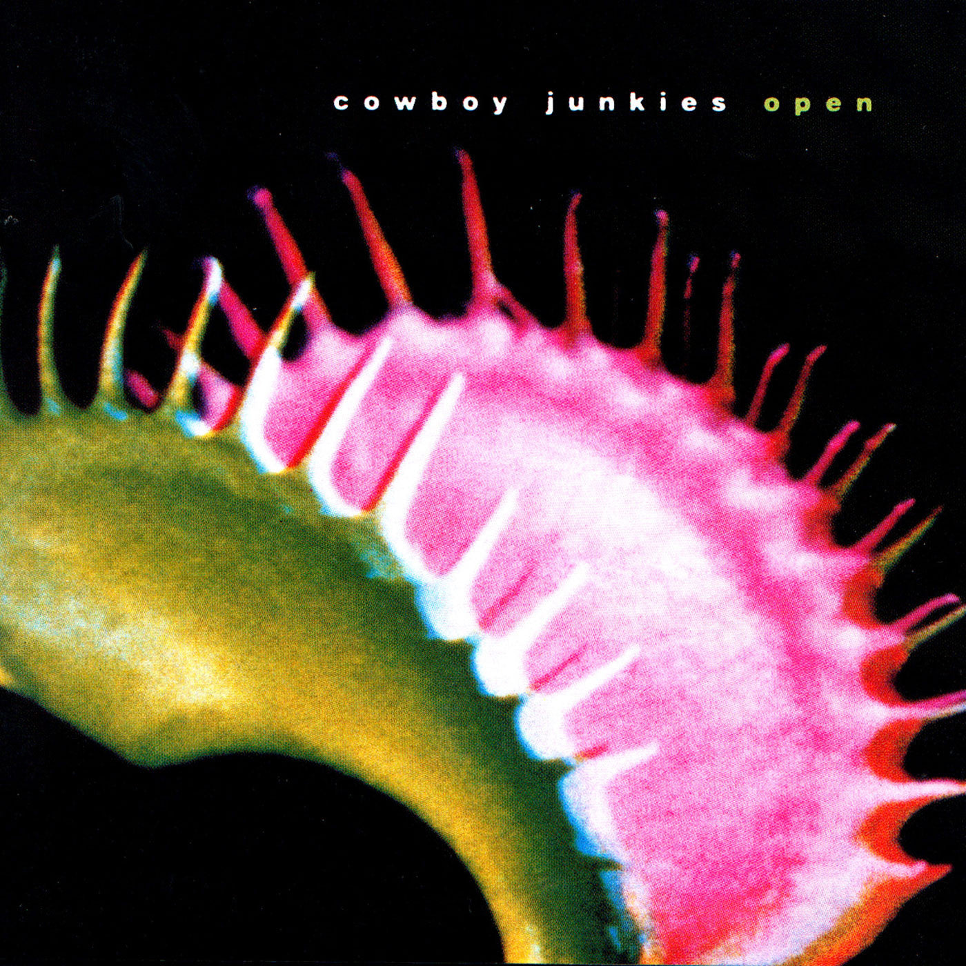 Cowboy Junkies - Open |