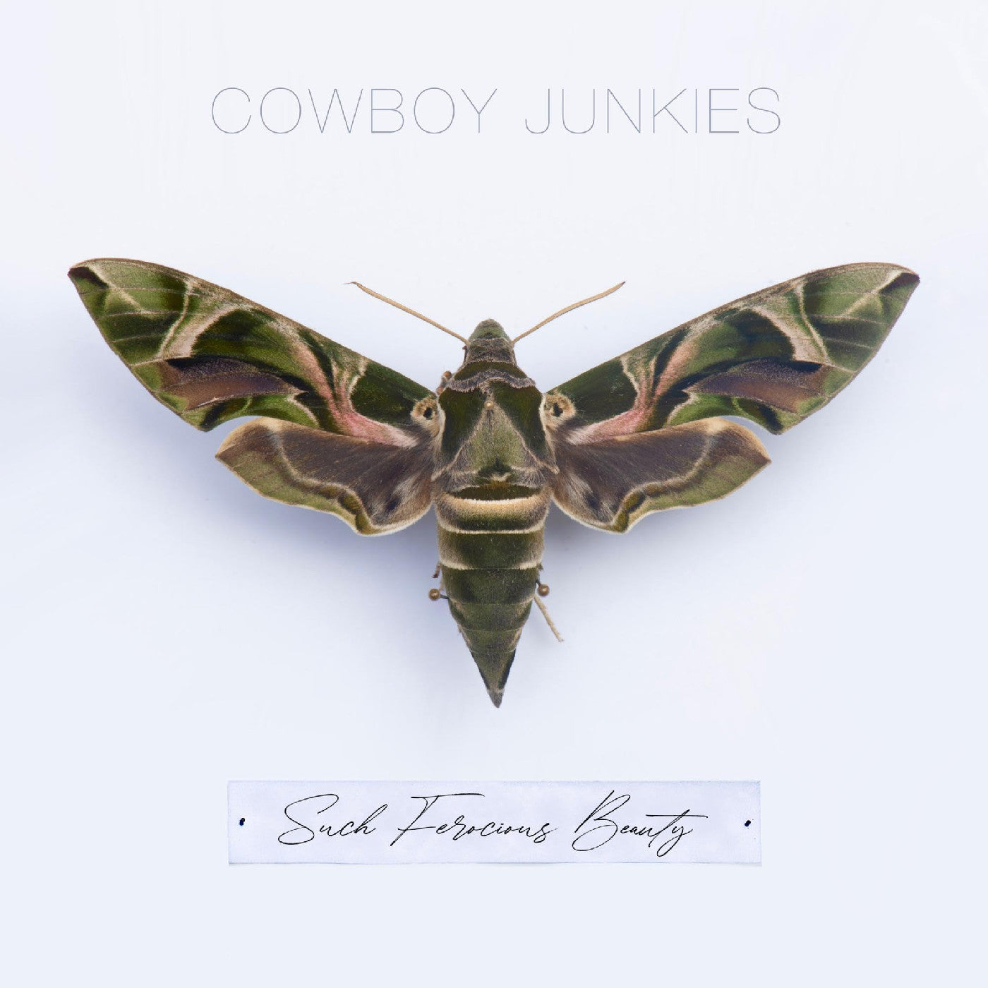 Cowboy Junkies - Such Ferocious Beauty (Tan Translucent Vinyl) |