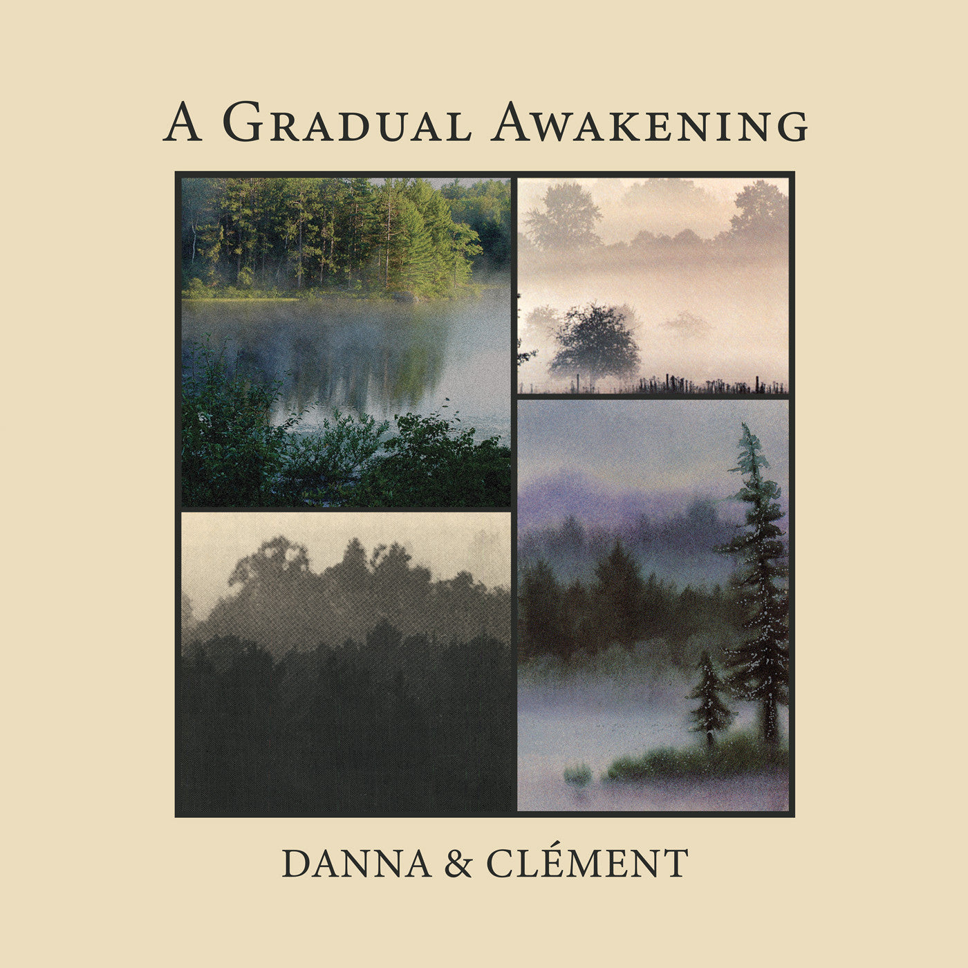 A Gradual Awakening |