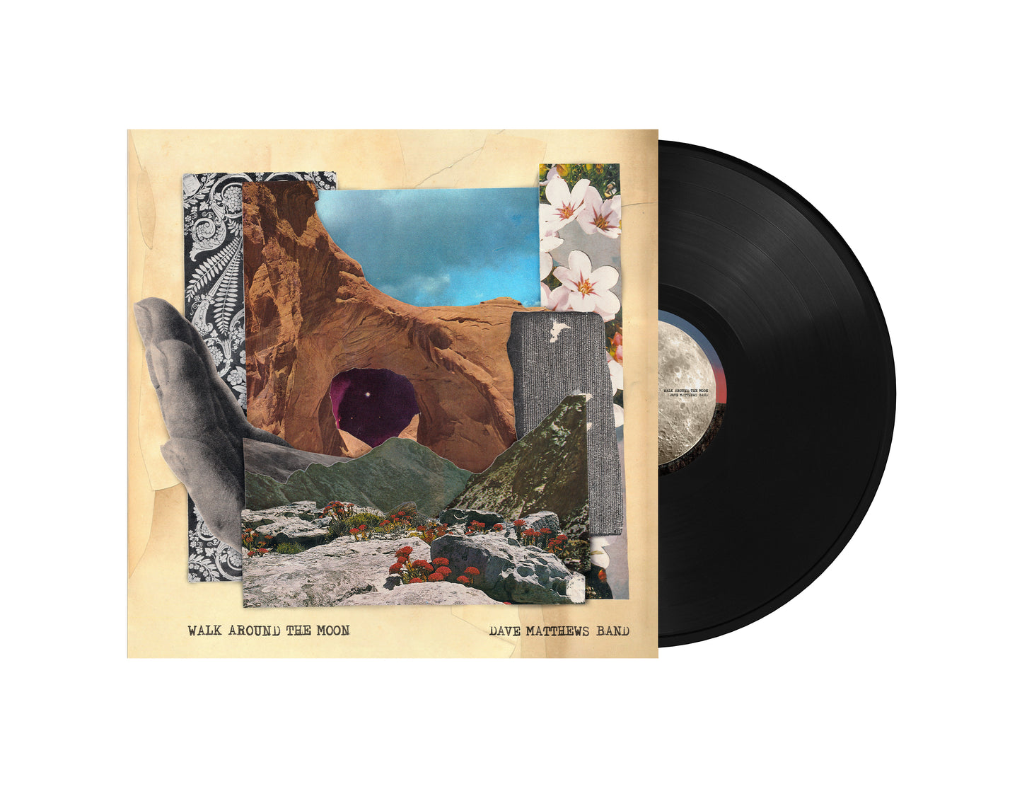 Walk Around The Moon (Wide Vinyl, Black) | Mint (M) Mint (M) - ALT/INDIE