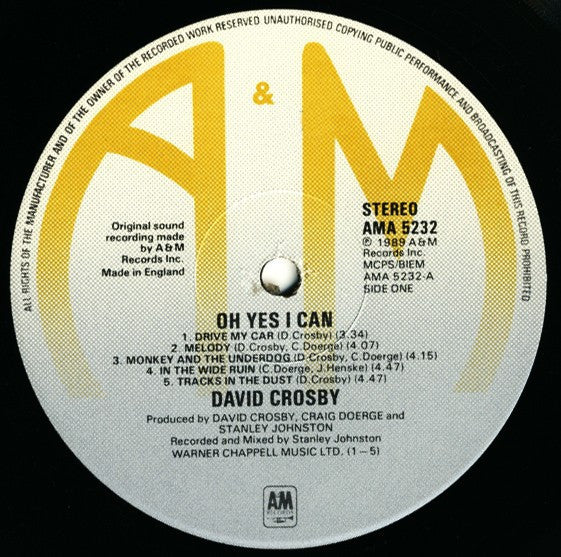 Oh Yes I Can | Near Mint (NM) Near Mint (NM) - FOLK / USED *NEAR MINT*