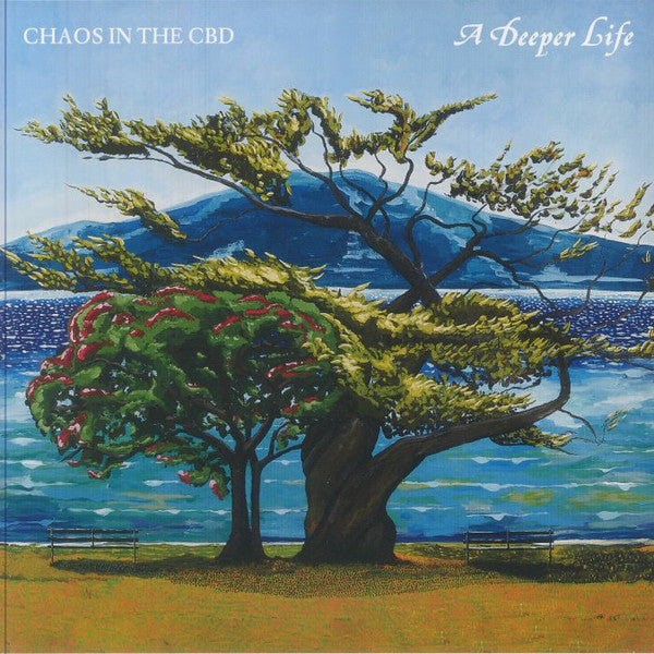 A Deeper Life (2xVINYL) | Mint (M) Mint (M) - DEEP HOUSE *NEW*