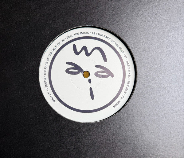 Venetia (4) - The Face Of The Deep (VINYL) | Mint (M) Generic - DEEP HOUSE *NEW*