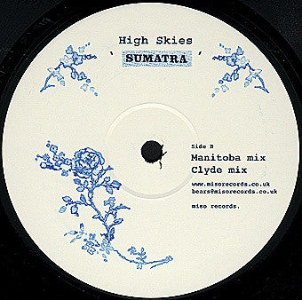 Sumatra (VINYL) | Excellent+ (EX+) Generic - DEEP HOUSE / USED *EXCELLENT+*