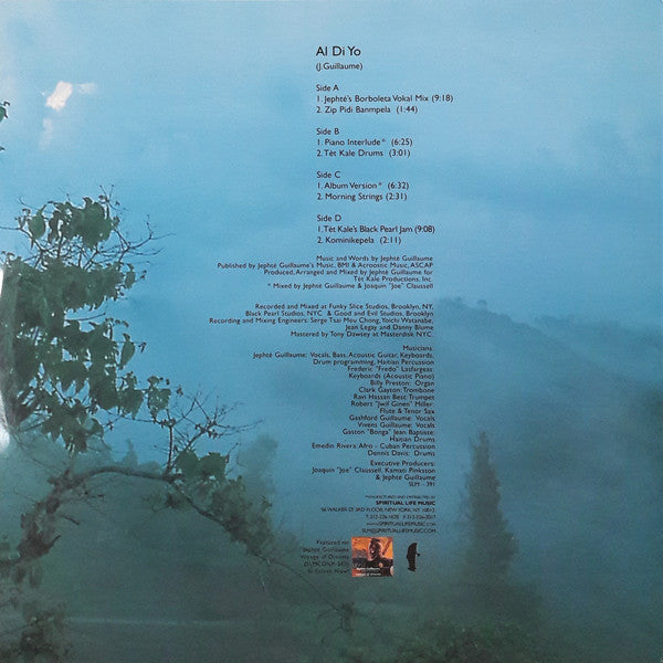 Al Di Yo (2xVINYL) | Near Mint (NM) Near Mint (NM) - DEEP HOUSE / USED *NEAR MINT*