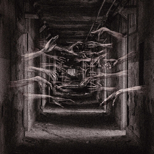Demonic Possessor - Porous Chambers |