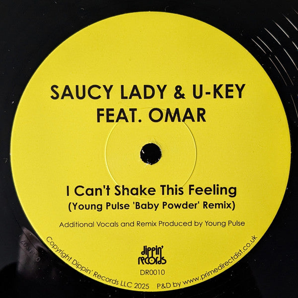 I Can't Shake This Feeling (VINYL) | Mint (M) Mint (M) - DISCO *NEW*