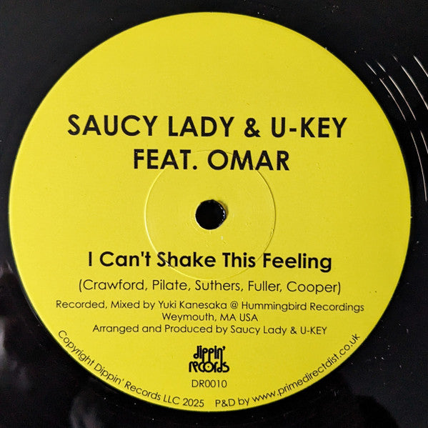 I Can't Shake This Feeling (VINYL) | Mint (M) Mint (M) - DISCO *NEW*