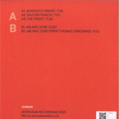 Sex Having Disco (VINYL 12") | Mint (M) Mint (M) - DISCO *NEW*