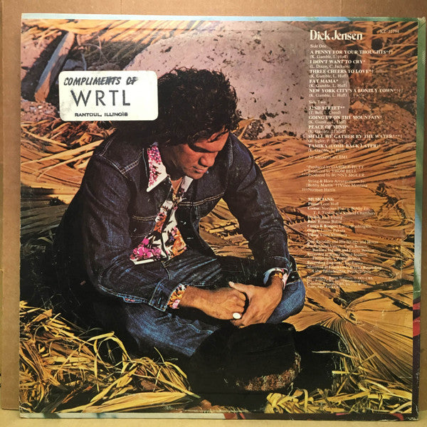 Dick Jensen (VINYL) | Excellent+ (EX+) Excellent+ (EX+) - DISCO / USED *EXCELLENT+*