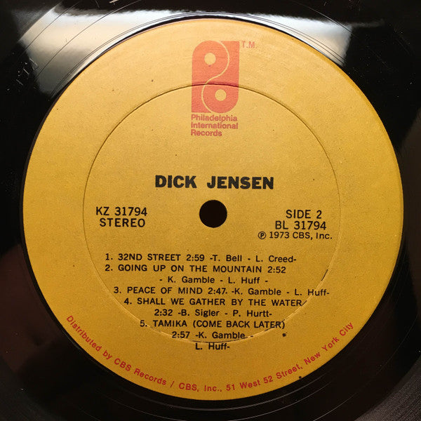 Dick Jensen (VINYL) | Excellent+ (EX+) Excellent+ (EX+) - DISCO / USED *EXCELLENT+*