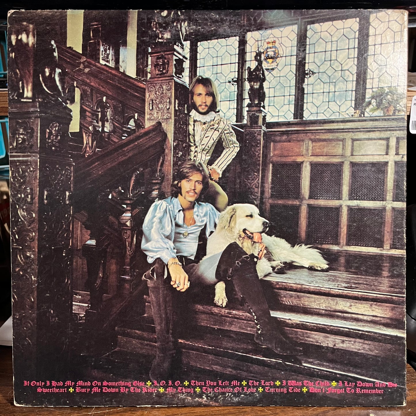 Cucumber Castle (VINYL) | Very Good (VG) Very Good Plus Plus (VG++) - DISCO / USED *VERY GOOD*