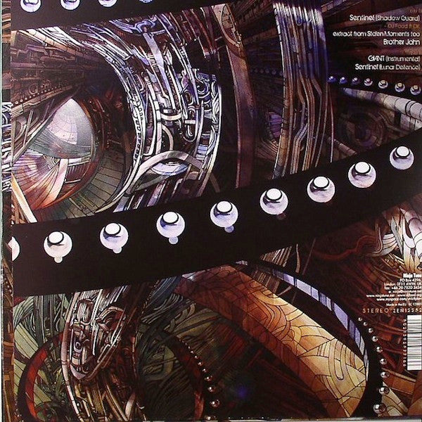 The Shape Of Things That Hum | Mint (M) Mint (M) - DOWNTEMPO *NEW*