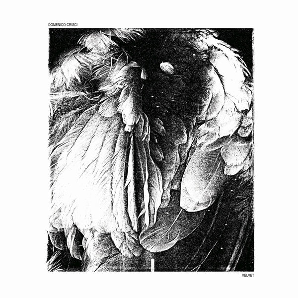 DOMENICO CRISCI - Velvet |