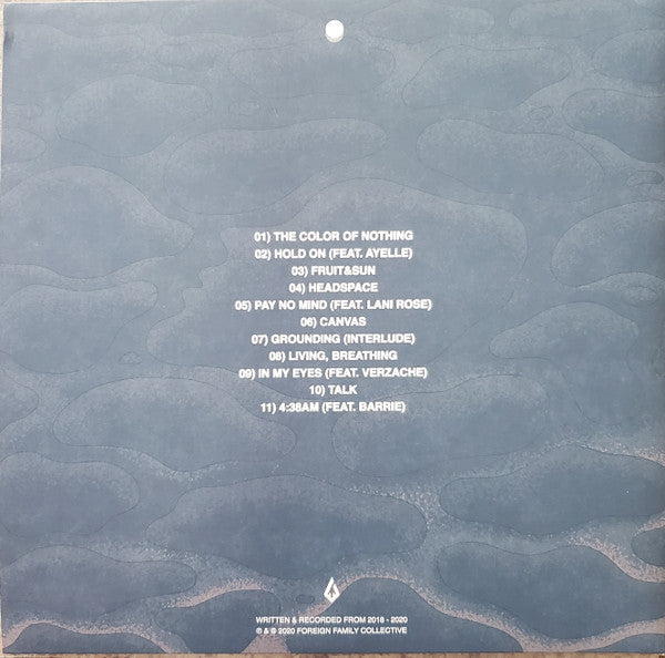The Color of Nothing | Mint (M) Mint (M) - DOWNTEMPO *SEALED/COLOR*