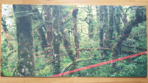 Everything Ecstatic (Etched) | Excellent (EX) Mint (M)