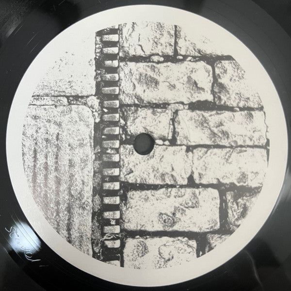 Acid Dub Studies | Mint (M) Mint (M) - DOWNTEMPO *NEW*