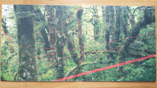 Everything Ecstatic | Mint (M) - DOWNTEMPO *SEALED*
