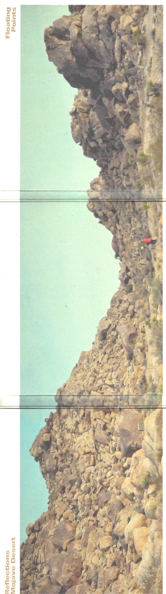 Reflections - Mojave Desert |