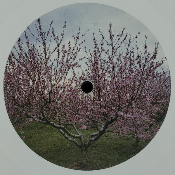 Within And Without (WHITE VINYL) | Near Mint (NM or M-) Near Mint (NM or M-) - DOWNTEMPO / USED *NEAR MINT*