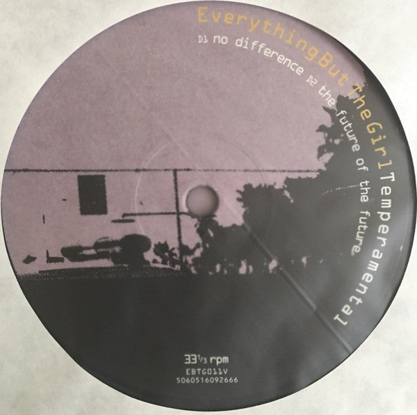 Temperamental | Mint (M) Mint (M) - DOWNTEMPO *SEALED*