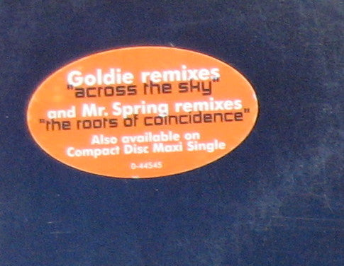 Across The Sky / The Roots Of Coincidence (GOLDIE) | Excellent+ (EX+) Excellent (EX) - DRUM & BASS / USED *EXCELLENT+*