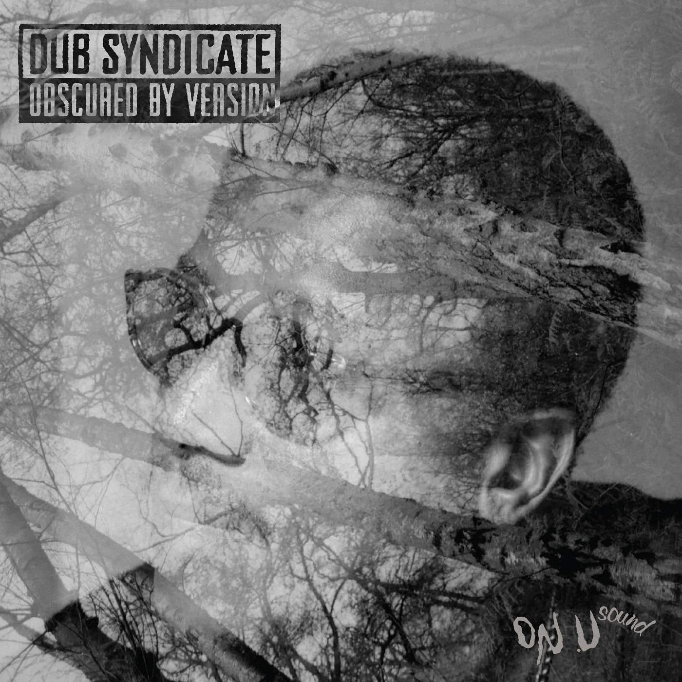 Obscured By Version |